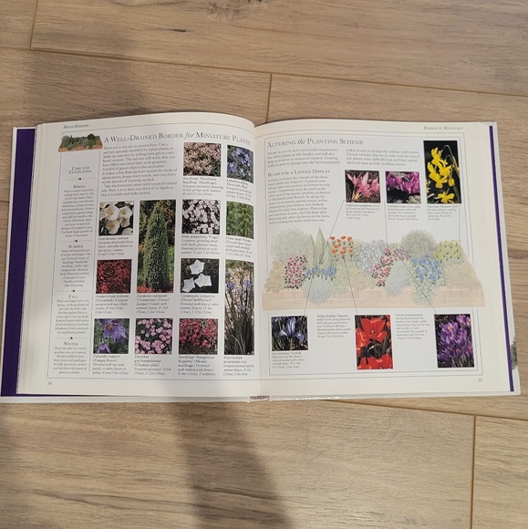 The border book by Anna Pavord - Picture 3 of 3